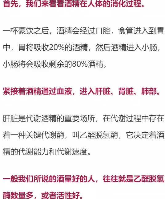 喝多少酒开车算酒驾?喝完酒多久能开车?这组数据,都说明白了